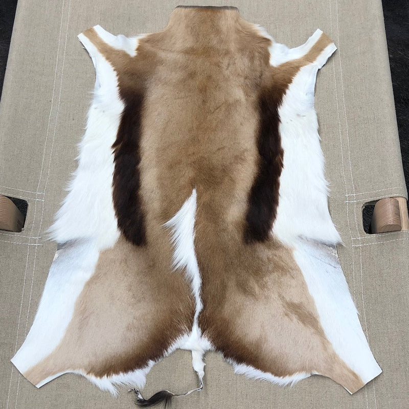 Springbok Hide Rug | Hides of Excellence